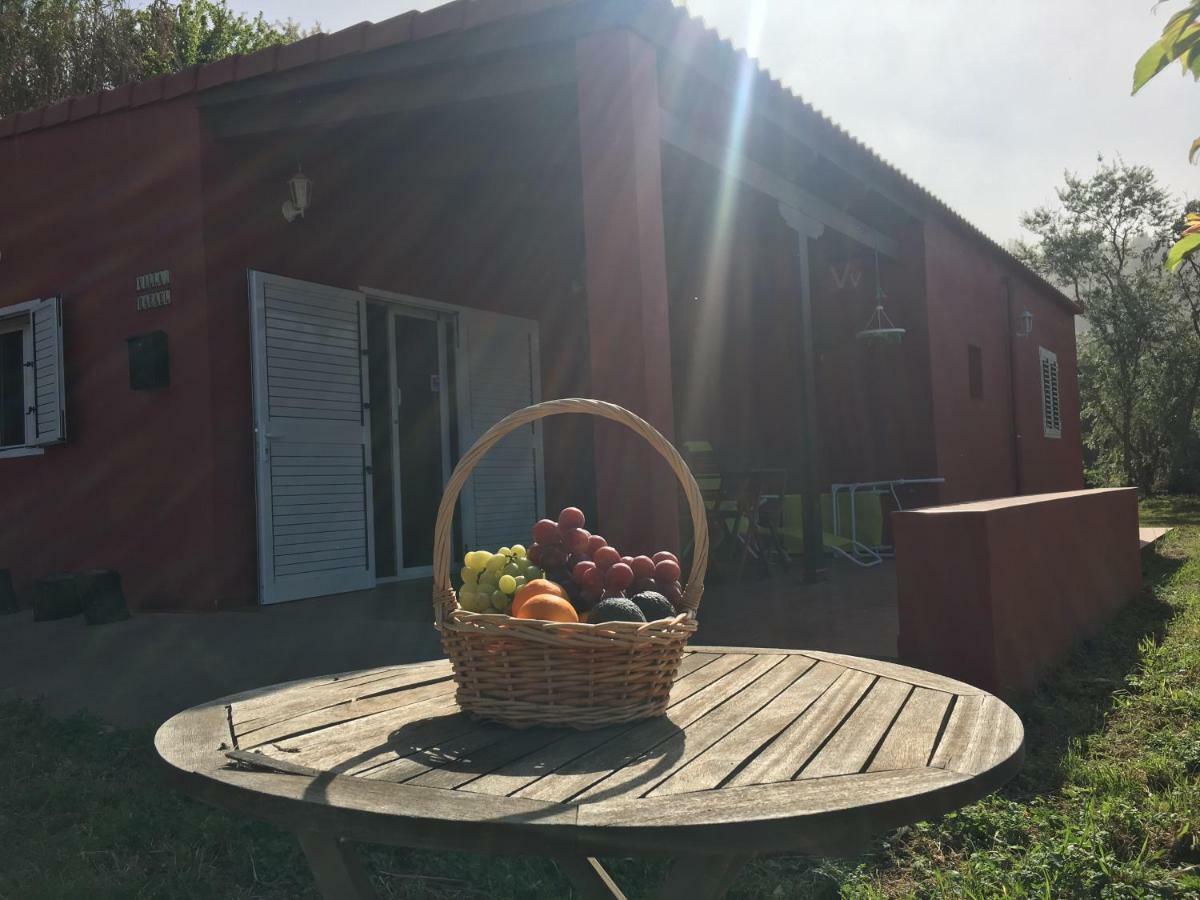 Villa Rafael Vega de San Mateo Bagian luar foto